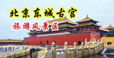 大黑鸡巴欧美视频性视频性视频中国北京-东城古宫旅游风景区
